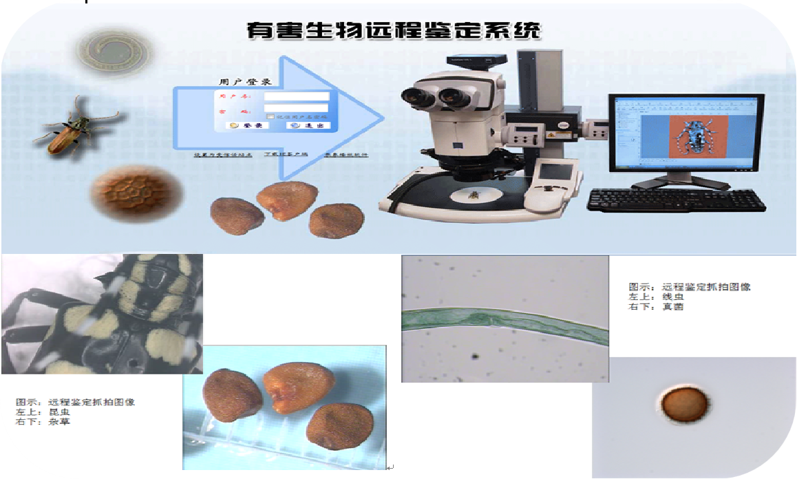 有害生物遠程鑒定系統